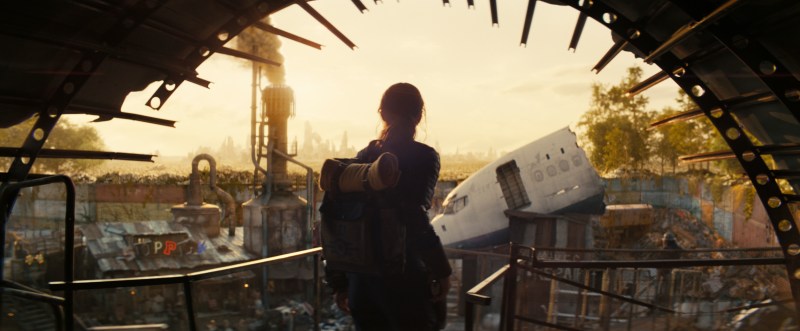 Lucy Fallout Series