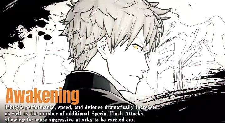 Ichigo Bleach: Rebirth of Souls