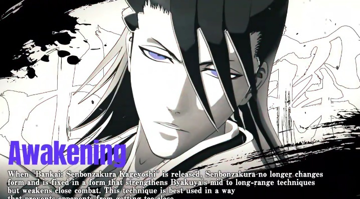 Byakuya Kuchiki Bleach: Rebirth of Souls