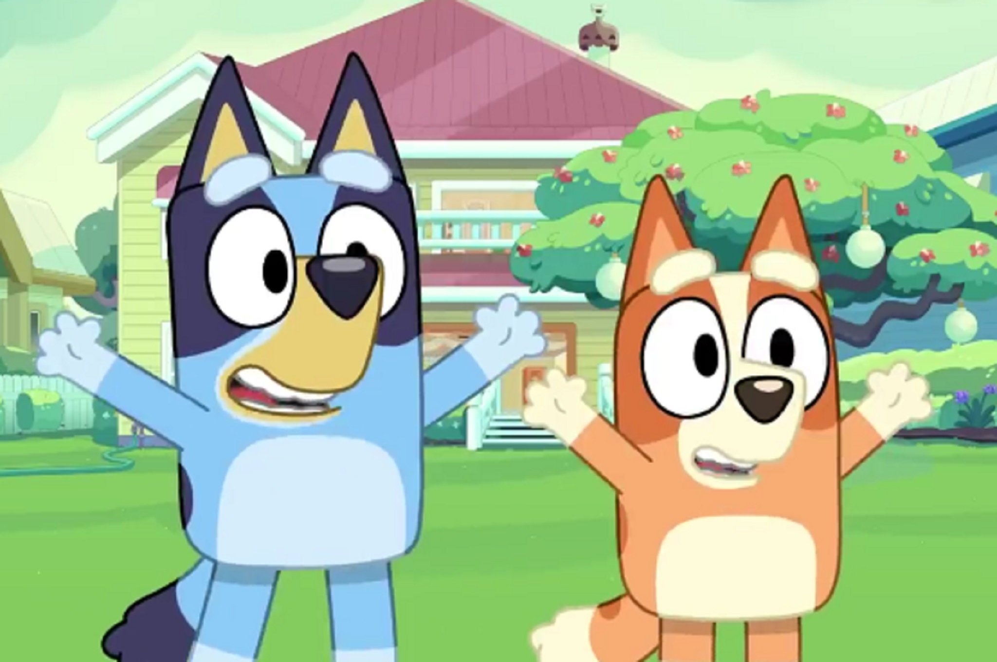 Bluey and Bingo