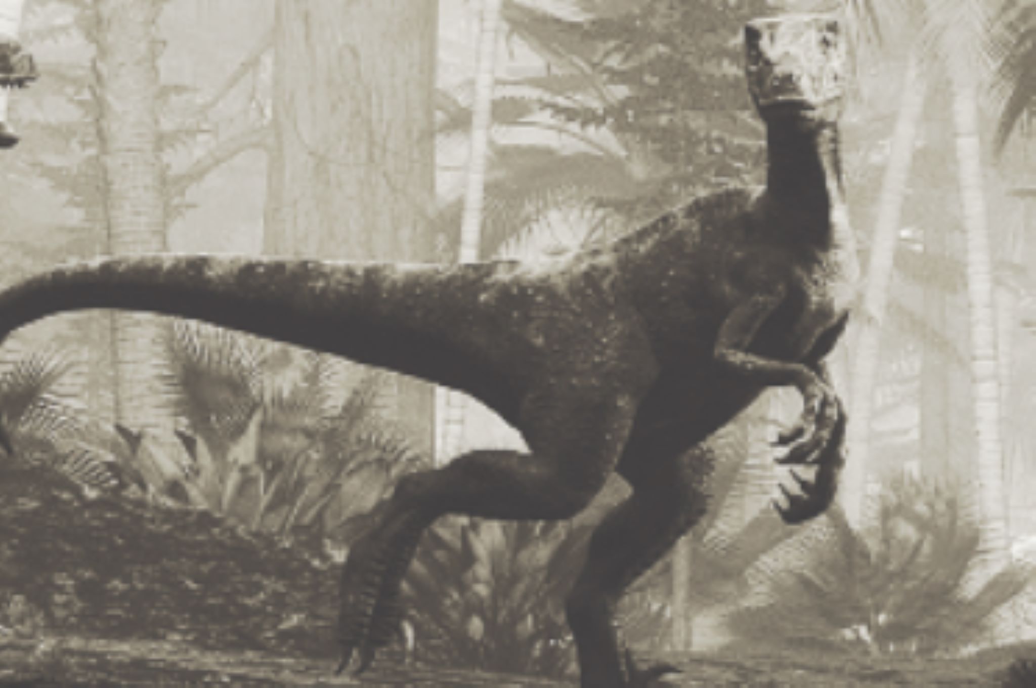 Sasuke Works With Dinosaur
